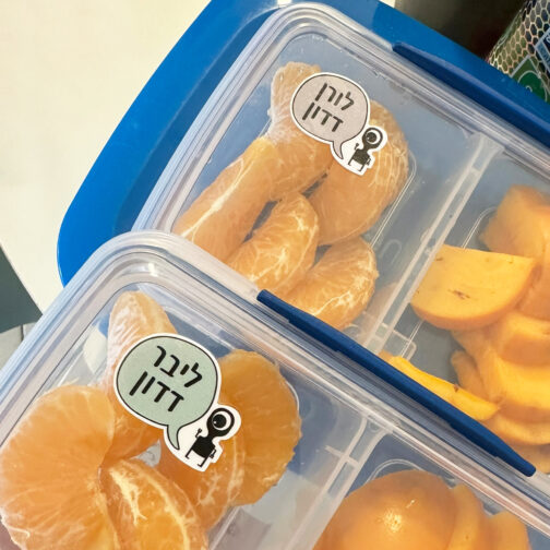 ⁦מדבקות שם הדגם הגדול ללא תמונה⁩ – תמונה ⁦7⁩